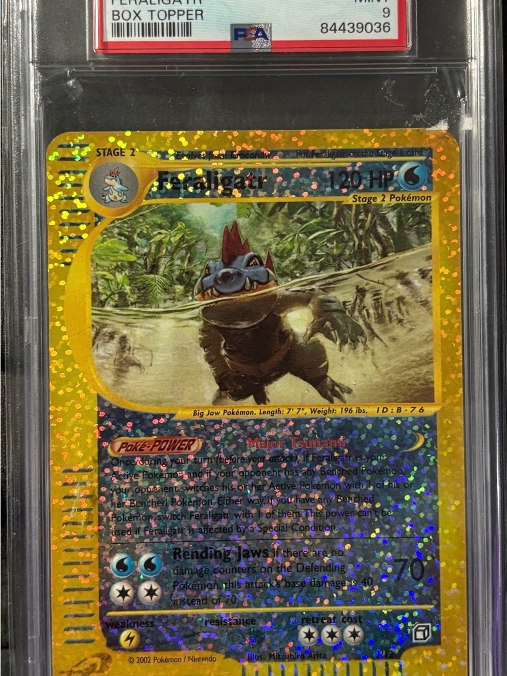 Pokemon Feraligatr Holo Gold-Accent Collectible Card